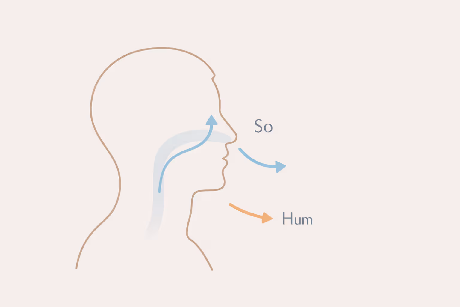 Diagram showing inhale labeled “So” and exhale labeled “Hum”